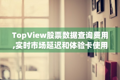 TopView股票数据查询费用,实时市场延迟和体验卡使用说明