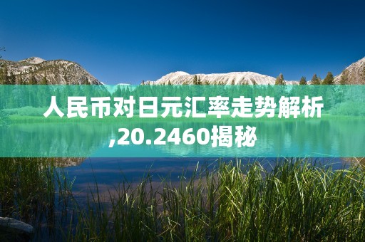 人民币对日元汇率走势解析,20.2460揭秘