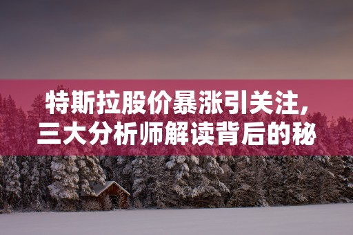 特斯拉股价暴涨引关注,三大分析师解读背后的秘密