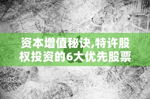 资本增值秘诀,特许股权投资的6大优先股票选择技巧