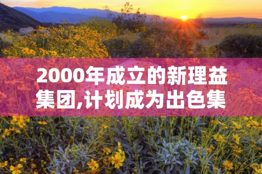 2000年成立的新理益集团,计划成为出色集团