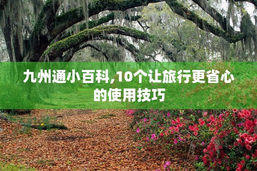 九州通小百科,10个让旅行更省心的使用技巧