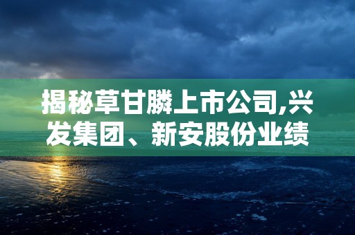 从贫困少年到董事长,单银木的励志故事