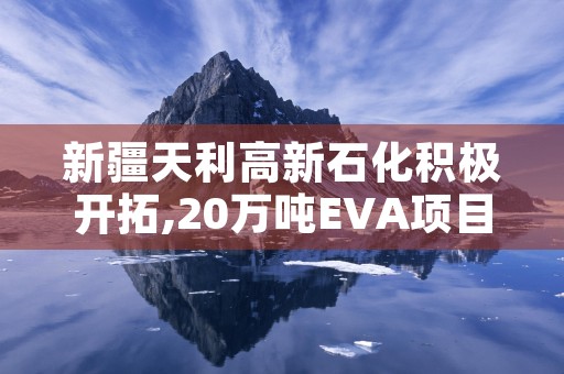 新疆天利高新石化积极开拓,20万吨EVA项目顺利投产