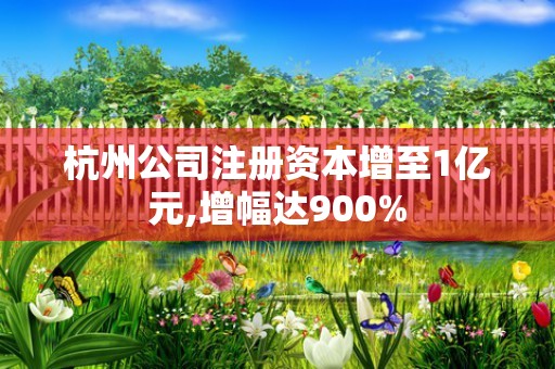 杭州公司注册资本增至1亿元,增幅达900%