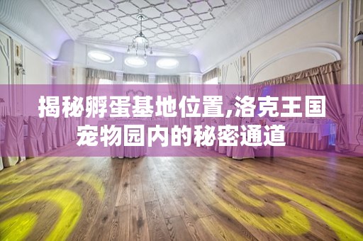 揭秘孵蛋基地位置,洛克王国宠物园内的秘密通道