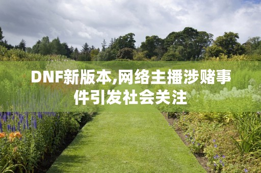 DNF新版本,网络主播涉赌事件引发社会关注