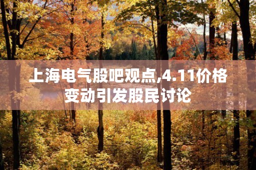 上海电气股吧观点,4.11价格变动引发股民讨论