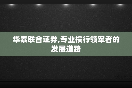 华泰联合证券,专业投行领军者的发展道路