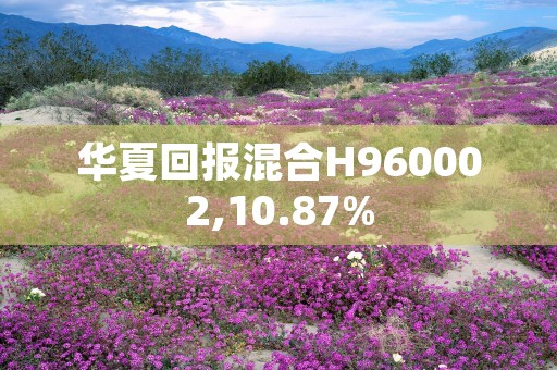 华夏回报混合H960002,10.87%