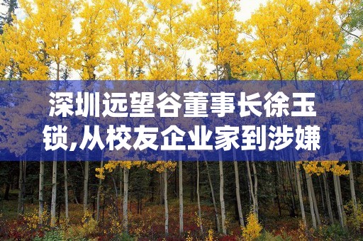 深圳远望谷董事长徐玉锁,从校友企业家到涉嫌行贿再回归国内