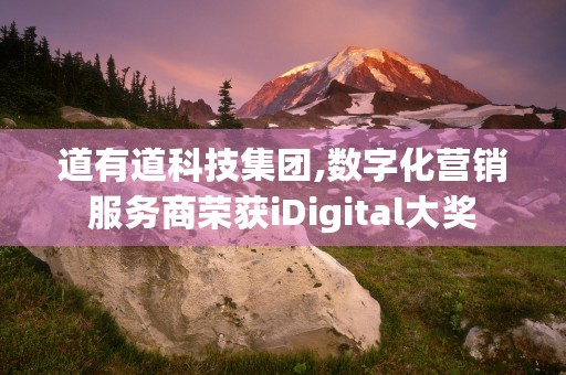 道有道科技集团,数字化营销服务商荣获iDigital大奖