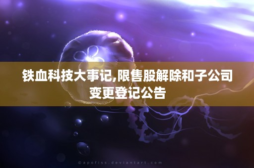 铁血科技大事记,限售股解除和子公司变更登记公告