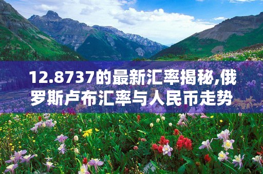 12.8737的最新汇率揭秘,俄罗斯卢布汇率与人民币走势预测