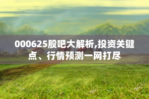 000625股吧大解析,投资关键点、行情预测一网打尽