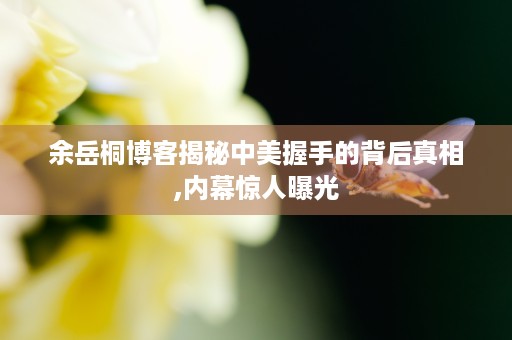 余岳桐博客揭秘中美握手的背后真相,内幕惊人曝光