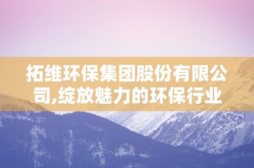 拓维环保集团股份有限公司,绽放魅力的环保行业领军企业