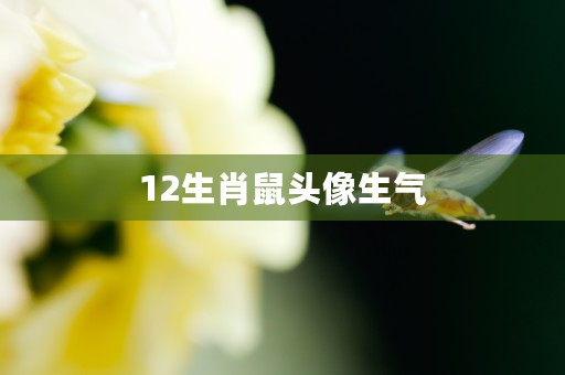 天秤座女2021年运势，健康事业感情走向分析详细介绍