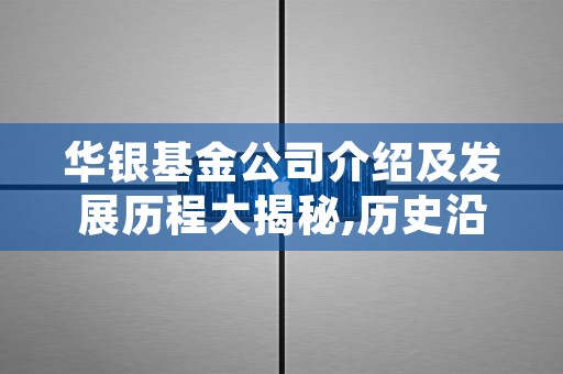 华银基金公司介绍及发展历程大揭秘,历史沿革、发展现状全解析