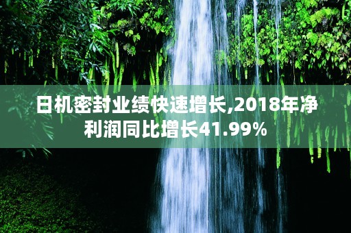 日机密封业绩快速增长,2018年净利润同比增长41.99%