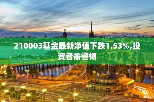 210003基金最新净值下跌1.53%,投资者需警惕