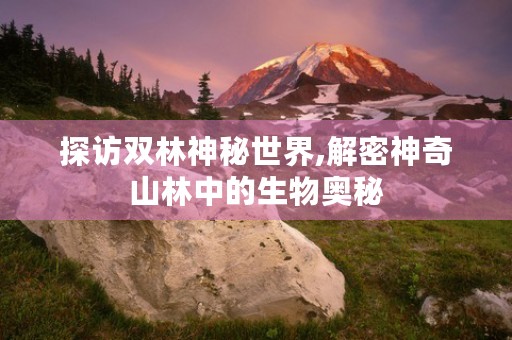 探访双林神秘世界,解密神奇山林中的生物奥秘