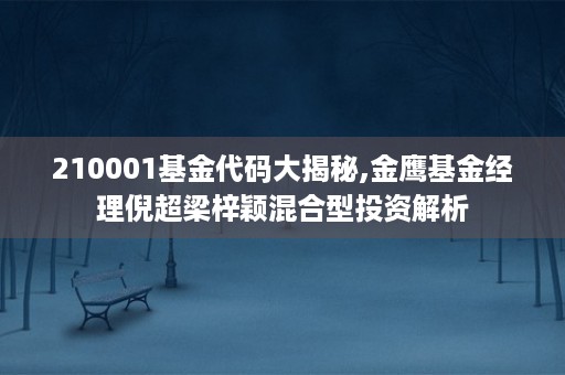 210001基金代码大揭秘,金鹰基金经理倪超梁梓颖混合型投资解析