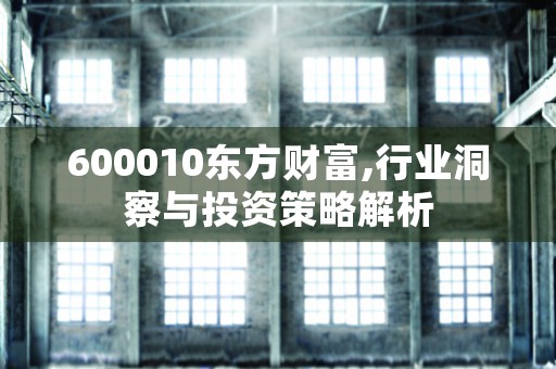 600010东方财富,行业洞察与投资策略解析