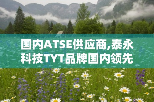 国内ATSE供应商,泰永科技TYT品牌国内领先