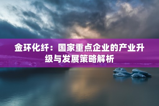 金环化纤：国家重点企业的产业升级与发展策略解析