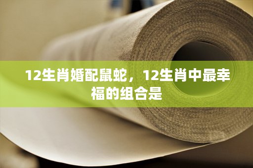 12生肖代号鼠精，探索老鼠在传统故事和民间传说中的重要角色