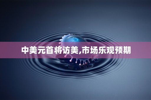 申万菱信新经济混合310358基金解析,表现、趋势一览