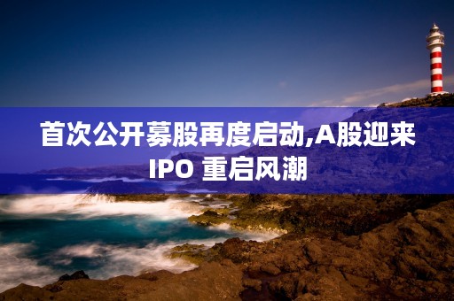 首次公开募股再度启动,A股迎来IPO 重启风潮