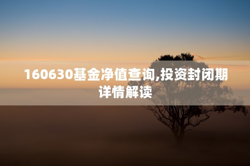 160630基金净值查询,投资封闭期详情解读