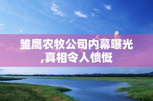 雏鹰农牧公司内幕曝光,真相令人愤慨