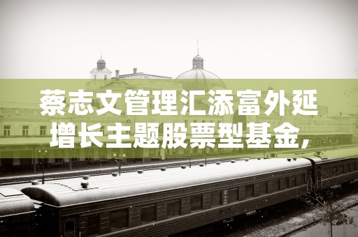 蔡志文管理汇添富外延增长主题股票型基金,平均年化收益率7.94%