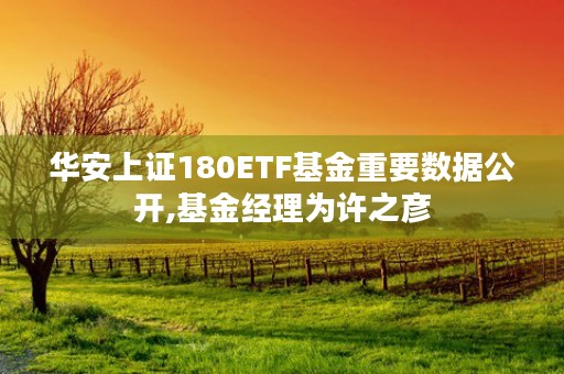 华安上证180ETF基金重要数据公开,基金经理为许之彦