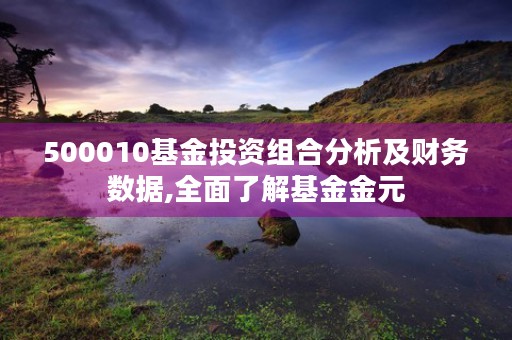 500010基金投资组合分析及财务数据,全面了解基金金元