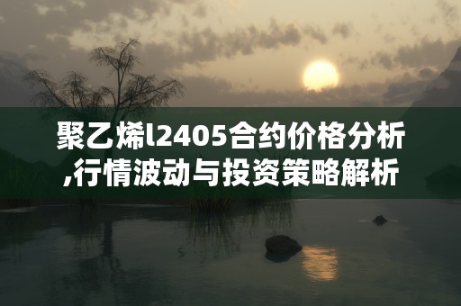 聚乙烯l2405合约价格分析,行情波动与投资策略解析