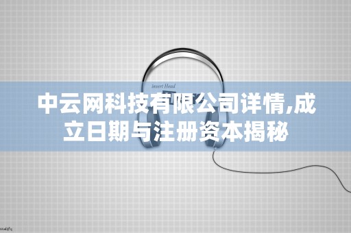 中云网科技有限公司详情,成立日期与注册资本揭秘