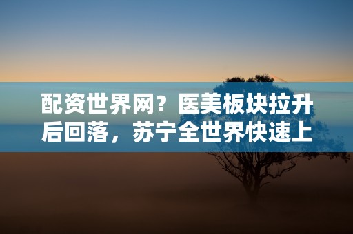 中国顶级大咖的智慧分享,鼎砥论坛经验总结