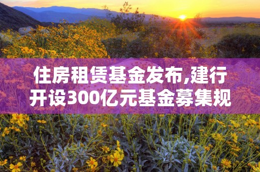 住房租赁基金发布,建行开设300亿元基金募集规模