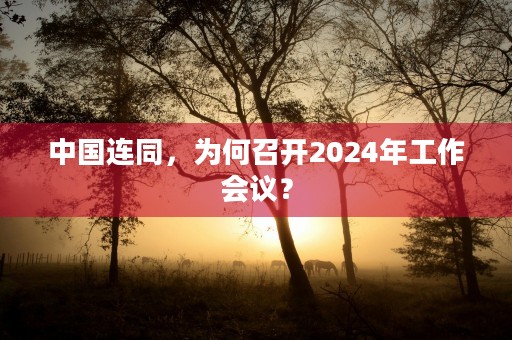 中国连同，为何召开2024年工作会议？