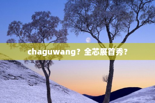 chaguwang？全芯展首秀？