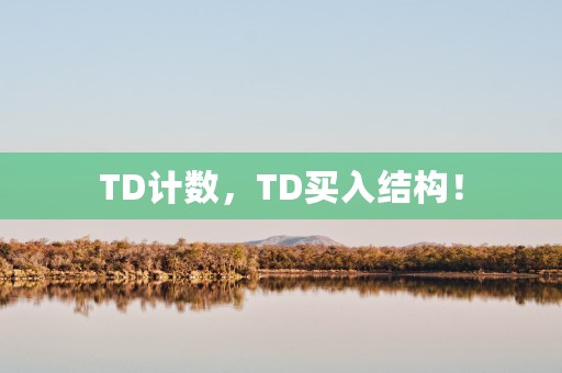 TD计数，TD买入结构！