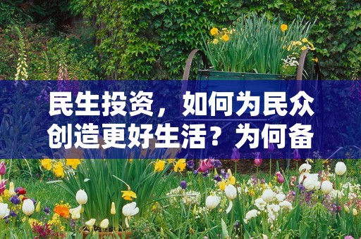 民生投资，如何为民众创造更好生活？为何备受瞩目？