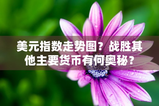 美元指数走势图？战胜其他主要货币有何奥秘？