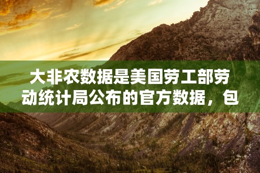 大非农数据是美国劳工部劳动统计局公布的官方数据，包括农业就业人数、就业率与失业率！