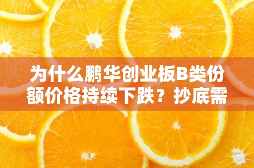 生意宝网，专注互联网信息服务多年！引领电子商务新风向！