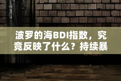 波罗的海BDI指数，究竟反映了什么？持续暴涨的原因何在？